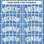 Custom Light Blue White Stripe Fashion Design Full Button Authentic Baseball Jersey