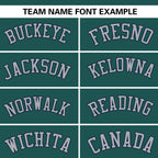 Custom Aqua Classic Style Authentic Stand Collar Baseball Jersey