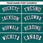 Custom Aqua Navy Raglan Sleeves Side Spot Authentic Pullover Baseball Jersey