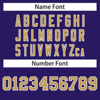 Custom Purple Old Gold-White Personalized Classic Mesh Authentic Football Jersey