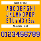 Custom Yellow Purple-White Personalized Classic Mesh Authentic Football Jersey