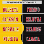 Custom Black Gold Split Fashion Mesh Authentic Football Jersey