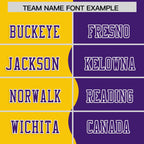 Custom Purple Gold Split Fashion Mesh Authentic Football Jersey