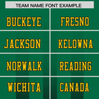 Custom Kelly Green Black Vertical Fine Stripe Gradient Fashion Personalized Team Football Jersey