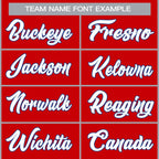Custom Full Button Down Sportwear Stitched Baseball Jersey for Team