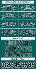 Custom Aqua Black-White Sleeveless Stripe Fashion Baseball Jersey