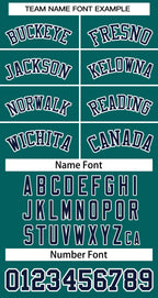 Custom Aqua Navy-White Sleeveless Stripe Fashion Baseball Jersey