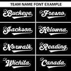 Custom Team Sports Football Jersey Personalized Practice Uniforms for Adults/Youth