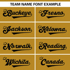Custom Team Sports Stitched  Football Jersey Personalized Practice Uniforms for Adults/Youth