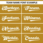 Custom Team Sports Football Jersey Personalized Practice Uniforms for Adults/Youth